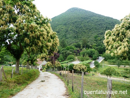 Llegando a Basondo.